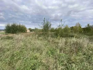 Dražba pozemku pro bydlení, Javorník, 1651 m2