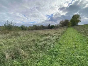 Dražba pozemku pro bydlení, Javorník, 1651 m2