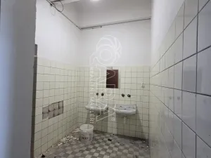 Pronájem obchodního prostoru, Přelouč, Jaselská, 10000 m2