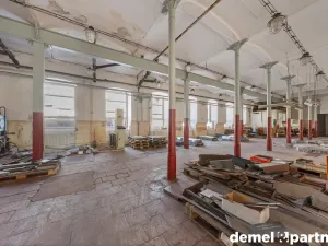 Prodej výrobních prostor, Světlá Hora - Světlá, 6500 m2
