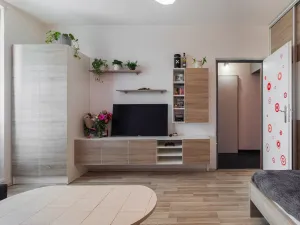 Prodej bytu 1+1, Olomouc - Nová Ulice, Hraniční, 34 m2