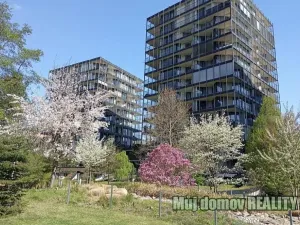 Prodej bytu 2+kk, Praha - Žižkov, 58 m2