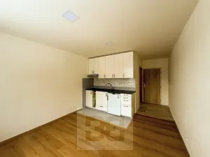 Pronájem bytu 1+kk, Dolní Bělá, 23 m2