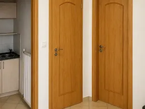 Pronájem bytu 1+kk, Plzeň, Kardinála Berana, 28 m2