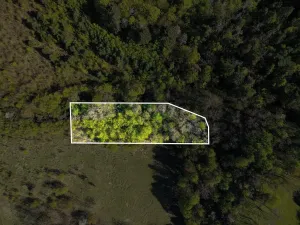 Prodej pole, Brno, 1696 m2