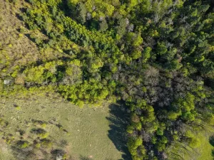 Prodej pole, Brno, 1696 m2