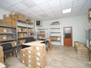 Prodej komerční, Prostějov, 7353 m2