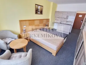 Pronájem bytu 1+kk, Frymburk, 30 m2