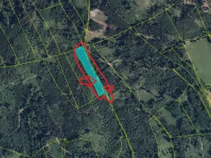 Prodej podílu lesa, Dlouhomilov, 1463 m2