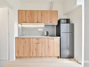 Pronájem bytu 1+1, Brno, Bubeníčkova, 25 m2