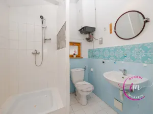 Prodej rodinného domu, Myslibořice, 48 m2