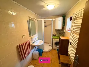 Prodej chalupy, Habrovany, 354 m2