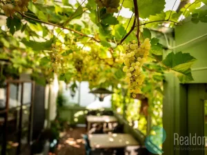 Prodej restaurace, Protivín - Chvaletice, 320 m2