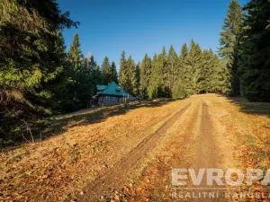 Prodej rodinného domu, Harrachov - Ryžoviště, 279 m2
