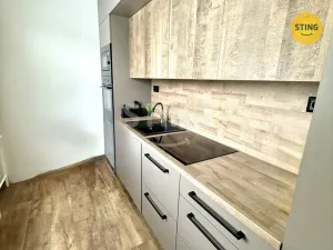 Pronájem bytu 2+1, Olomouc, Wolkerova, 54 m2