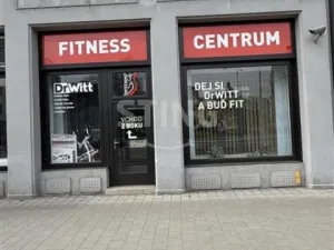 Pronájem obchodního prostoru, Ostrava, Denisova, 125 m2