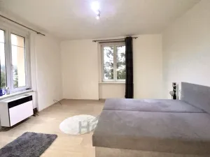 Prodej bytu 2+kk, Teplice, Souběžná, 56 m2