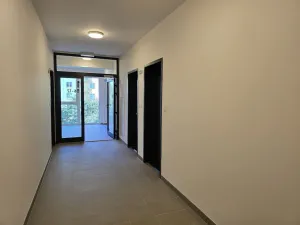 Pronájem bytu 1+kk, Plzeň, Goldscheiderova, 30 m2