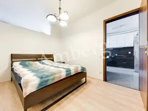 Prodej bytu 2+kk, Praha - Žižkov, Na Vackově, 53 m2