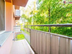 Pronájem bytu 1+1, České Budějovice - České Budějovice 3, J. Plachty, 38 m2