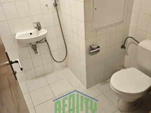 Prodej bytu 3+1, Praha - Troja, Velká skála, 97 m2