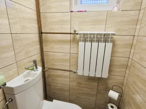 Prodej rodinného domu, Hanušovice, Pod Lesem, 95 m2