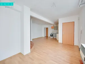 Pronájem bytu 1+kk, Šternberk, Bezručova, 45 m2