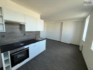 Pronájem bytu 1+kk, Chomutov, Žižkovo náměstí, 26 m2