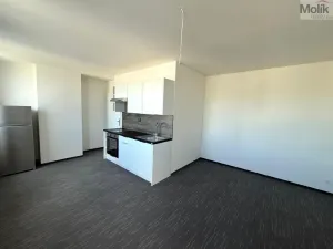 Pronájem bytu 1+kk, Chomutov, Žižkovo náměstí, 26 m2