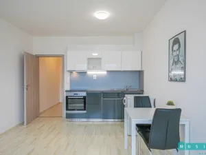 Pronájem bytu 1+kk, Olomouc - Řepčín, Aloise Rašína, 35 m2