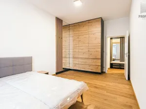Pronájem bytu 2+kk, Brno, Stavební, 56 m2