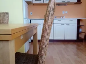 Pronájem bytu 2+kk, Ostrava, Na Baranovci, 60 m2