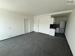 Pronájem bytu 2+kk, Chomutov, Žižkovo náměstí, 50 m2
