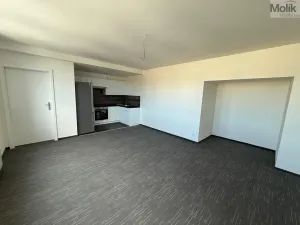 Pronájem bytu 3+kk, Chomutov, Žižkovo náměstí, 103 m2