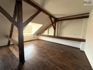 Pronájem bytu 2+kk, Chomutov, 28. října, 72 m2