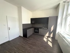 Pronájem bytu 2+1, Chomutov, 28. října, 65 m2