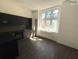 Pronájem bytu 2+1, Chomutov, 28. října, 65 m2