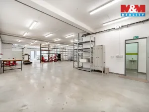 Pronájem výrobních prostor, Albrechtice, 328 m2
