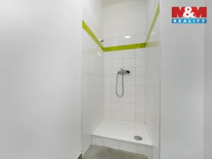 Pronájem výrobních prostor, Albrechtice, 328 m2