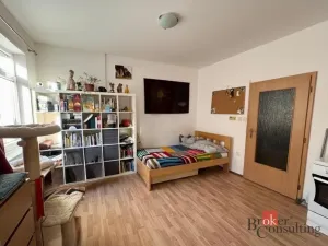 Pronájem bytu 1+kk, České Budějovice - České Budějovice 3, Nová, 30 m2