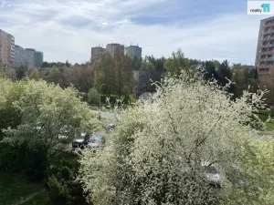 Pronájem bytu 1+1, Příbram - Příbram VII, Gen. Kholla, 47 m2