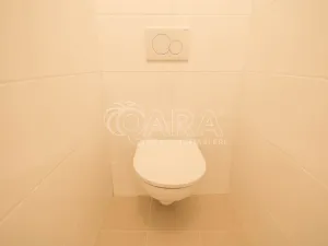 Pronájem bytu 4+kk, Dřevohryzy, 93 m2