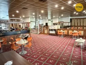 Pronájem obchodního prostoru, Ostrava, Denisova, 220 m2