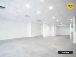Pronájem obchodního prostoru, Ostrava, Denisova, 220 m2