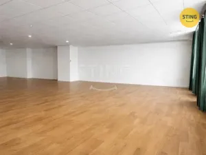 Pronájem obchodního prostoru, Ostrava, Denisova, 125 m2