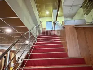 Pronájem obchodního prostoru, Ostrava, Denisova, 125 m2