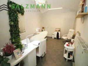 Pronájem obchodního prostoru, Plzeň, Bezručova, 15 m2