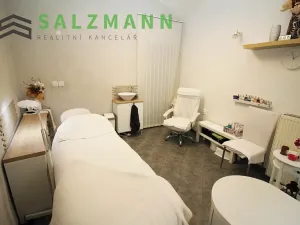 Pronájem obchodního prostoru, Plzeň, Bezručova, 15 m2