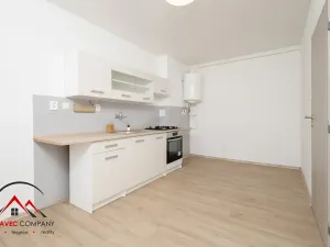 Pronájem bytu 1+1, Ostrava, Newtonova, 41 m2