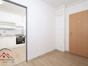 Pronájem bytu 1+1, Ostrava, Newtonova, 41 m2